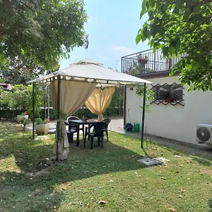 Le Magnolie 2 , Mestre Italien